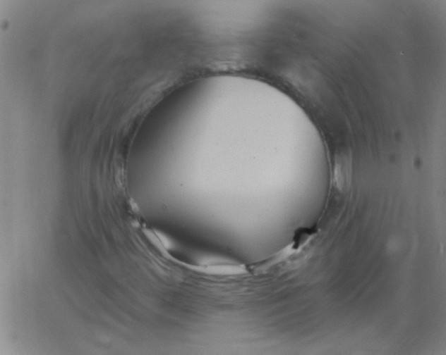 X0000061731444200512231422