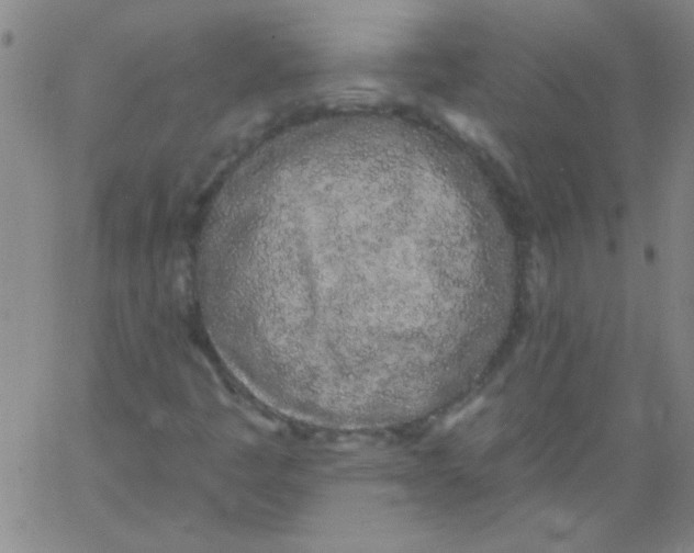 X0000061731445200512231422