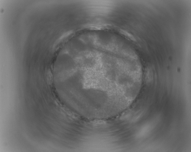 X0000061731446200512231422