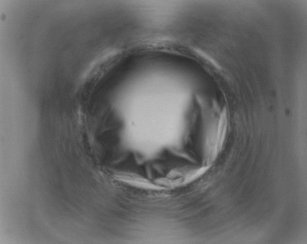 X0000061731447200512231422