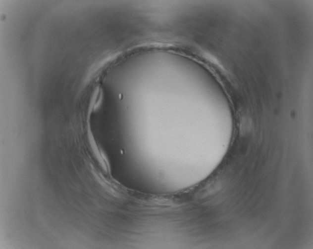 X0000061731448200512231422