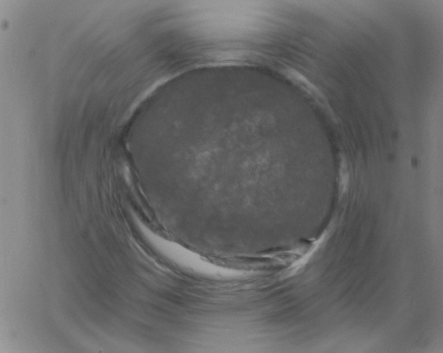 X0000061731449200512231422