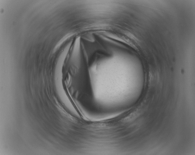 X0000061731450200512231422