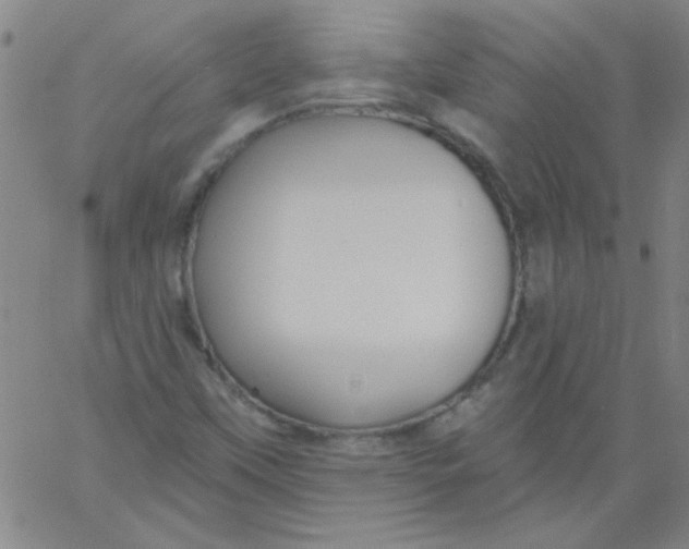 X0000061731451200512231422