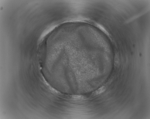 X0000061731456200512231422