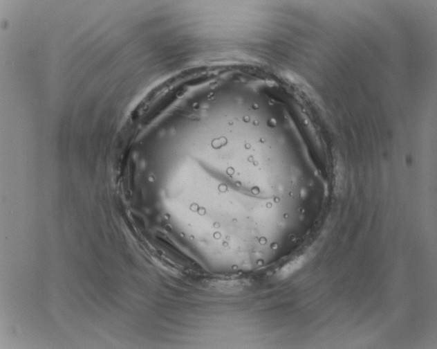 X0000061731457200512231422