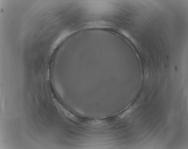 X0000061731459200512231422