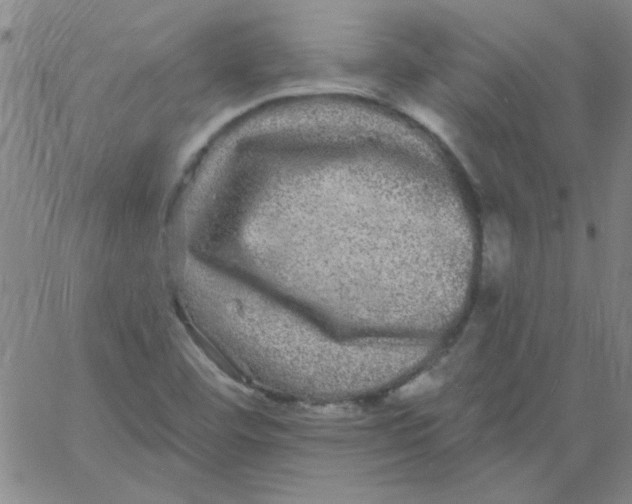 X0000061731460200512231422