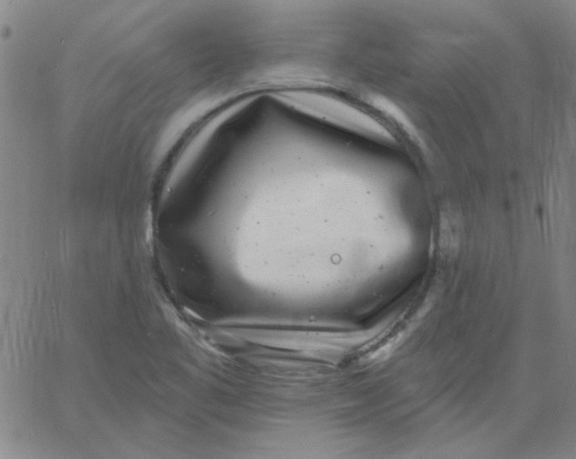 X0000061731461200512231422