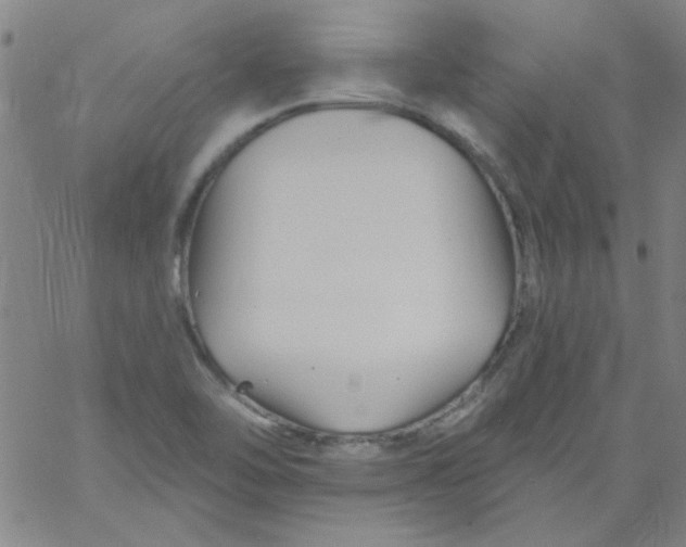 X0000061731462200512231422