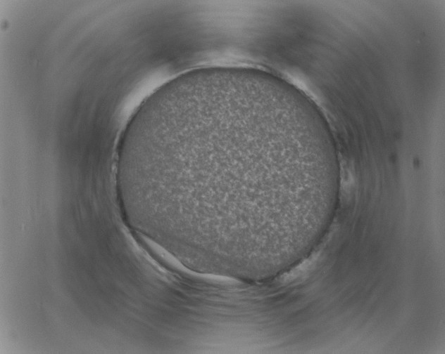 X0000061731463200512231422