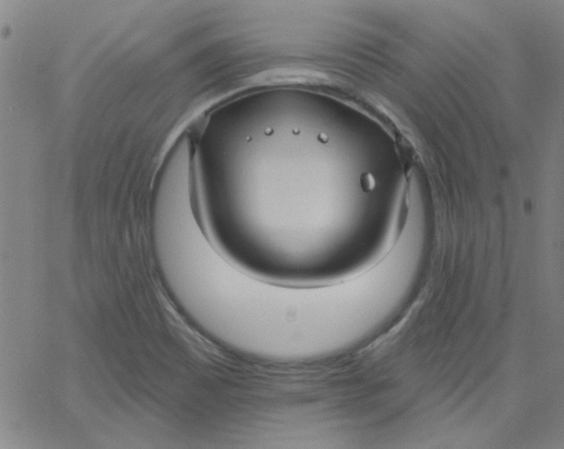 X0000061731465200512231422