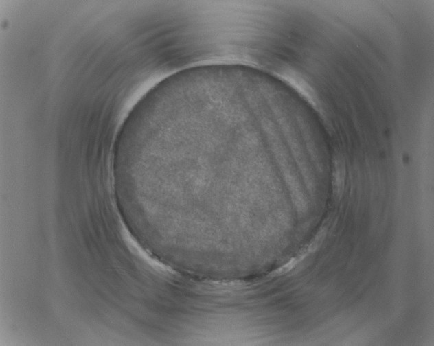 X0000061731468200512231422