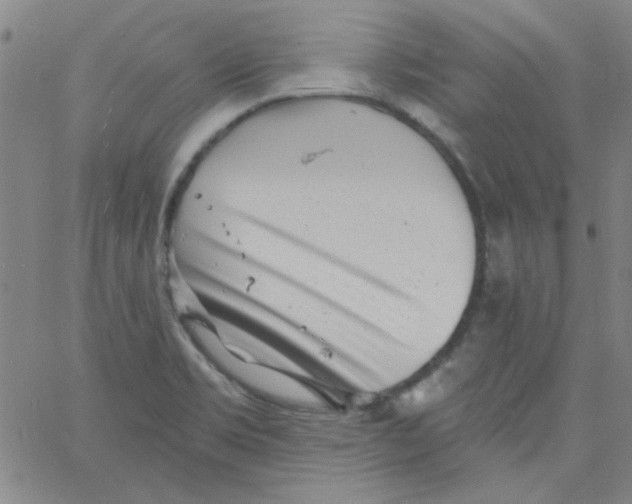 X0000061731469200512231422