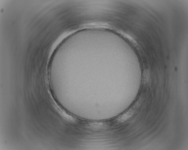 X0000061731470200512231422