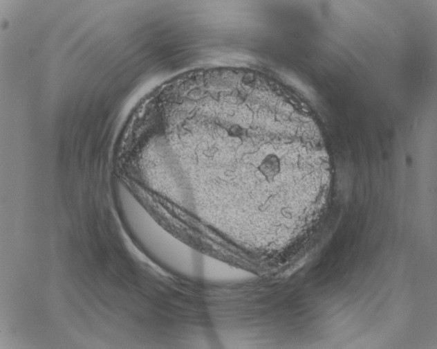 X0000061731471200512231422