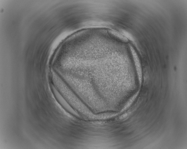 X0000061731472200512231422