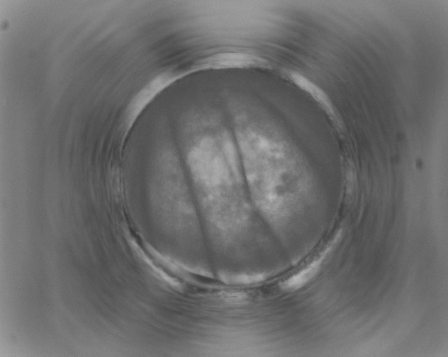 X0000061731473200512231422