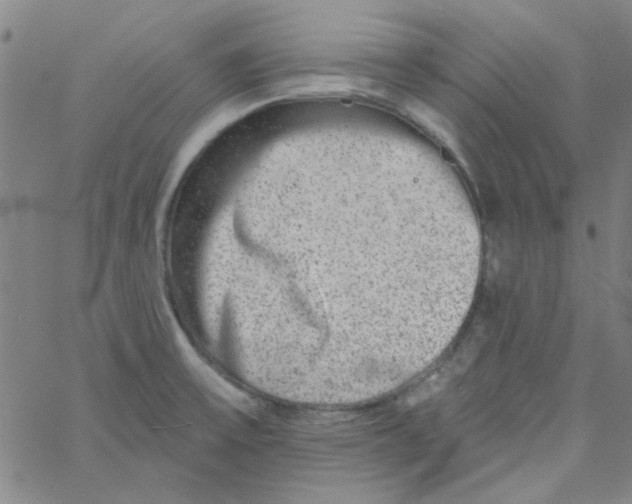 X0000061731475200512231422