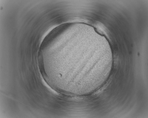 X0000061731476200512231422