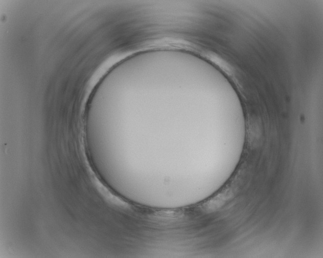 X0000061731478200512231422