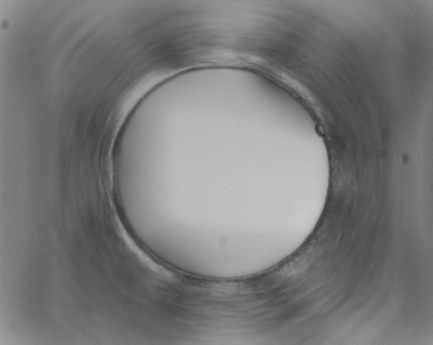 X0000061731479200512231422