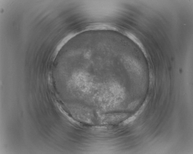 X0000061731481200512231422