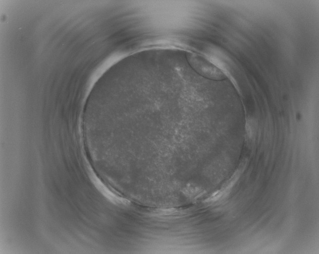 X0000061731482200512231422