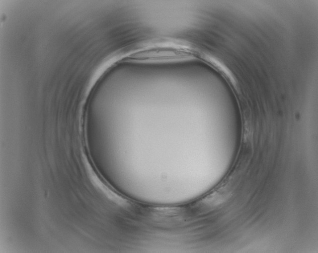 X0000061731483200512231422