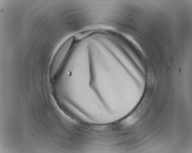 X0000061731484200512231422