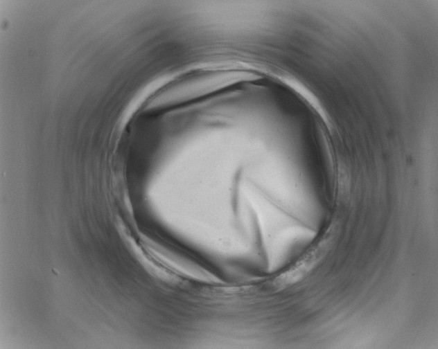 X0000061731485200512231422