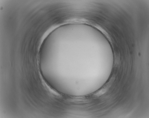 X0000061731486200512231422