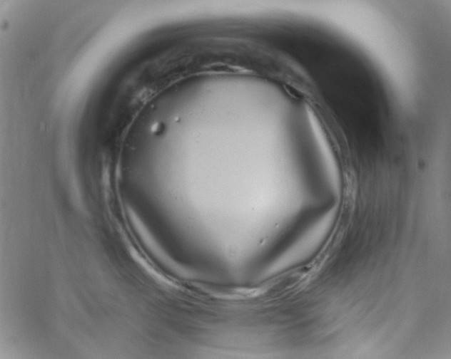 X0000061731487200512231422