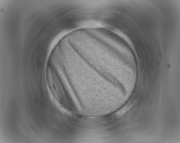 X0000061731488200512231422