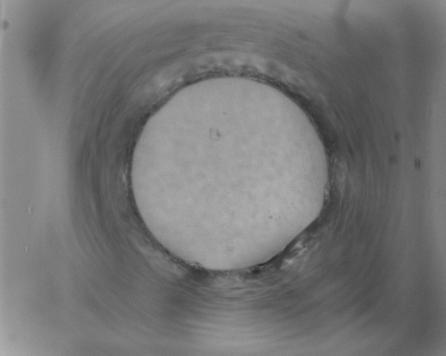 X0000061731489200512231421