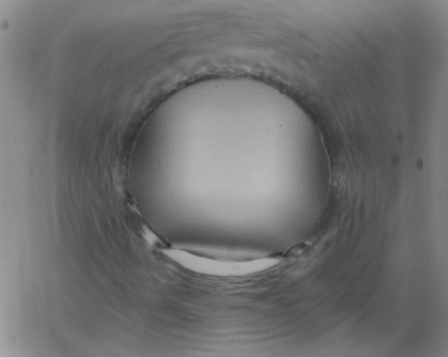 X0000061731490200512231421