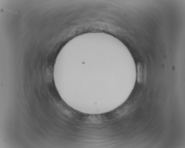 X0000061731491200512231421