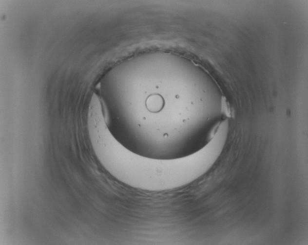 X0000061731492200512231421