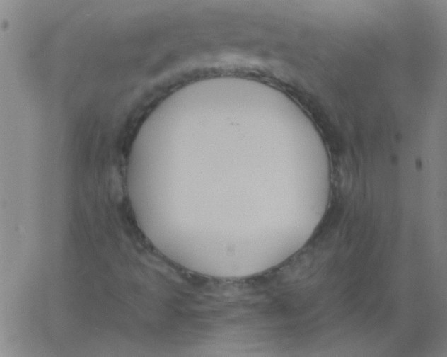 X0000061731493200512231421