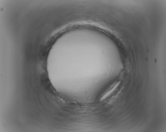 X0000061731494200512231421