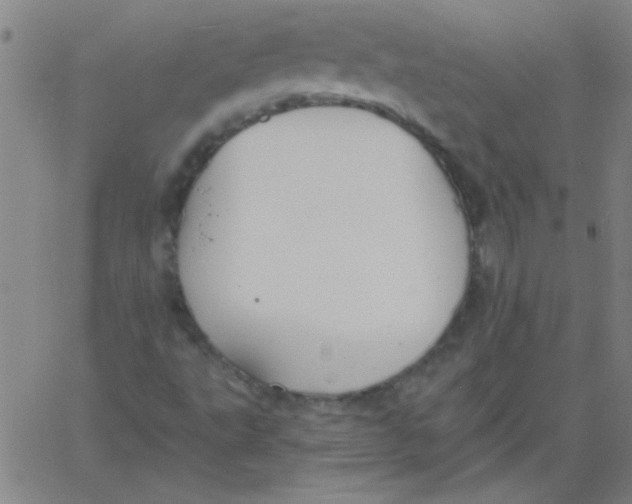 X0000061731495200512231421