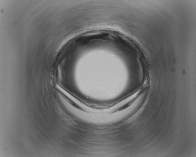 X0000061731497200512231421