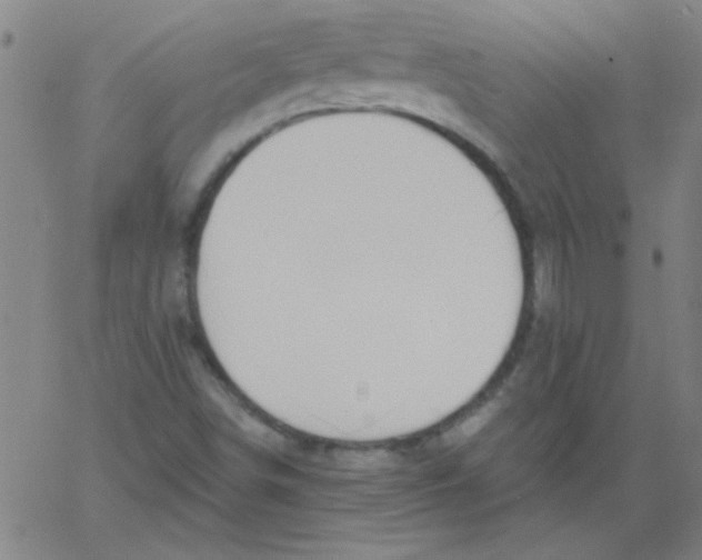 X0000061731498200512231421