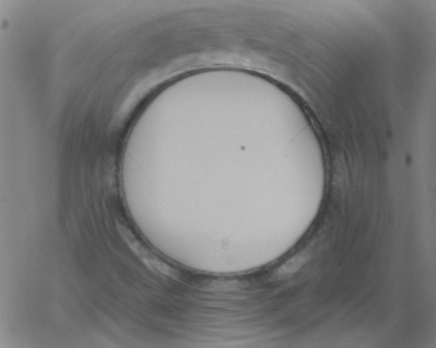 X0000061731499200512231421