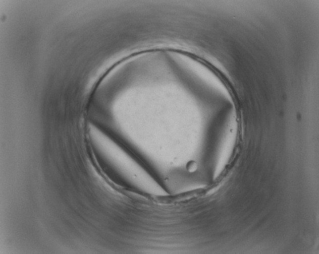 X0000061731500200512231421