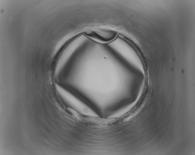 X0000061731501200512231421