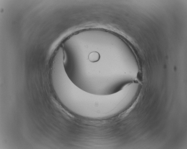 X0000061731502200512231421