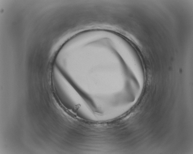 X0000061731504200512231421