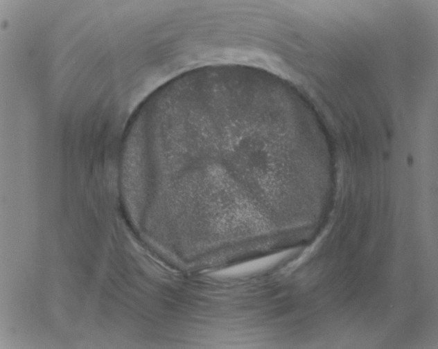 X0000061731505200512231421