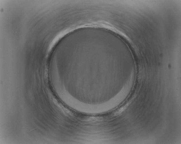 X0000061731506200512231421